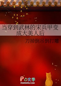 当穿到武林的宋兵甲变成大美人后