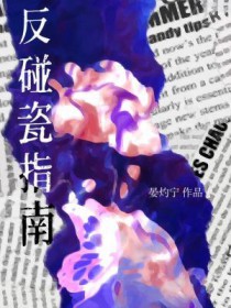 反碰瓷指南